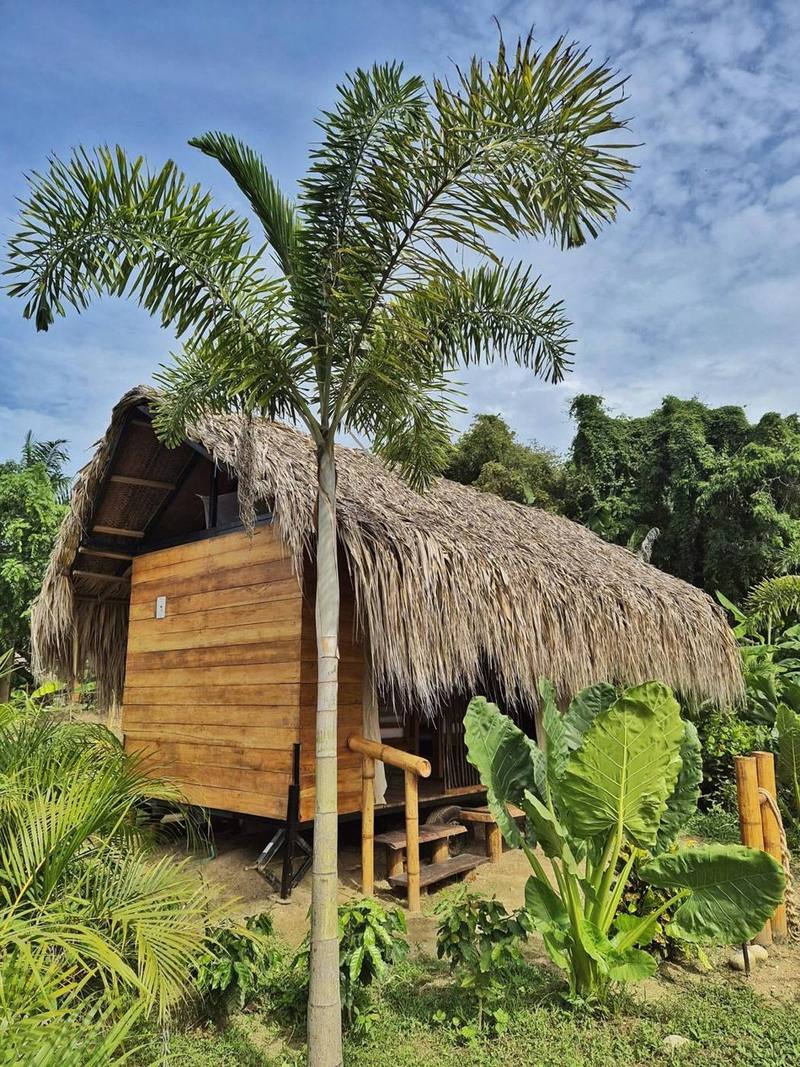 Cabaña Selvática bajo una palma